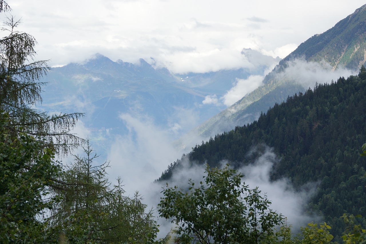 mountains  forest  view free photo