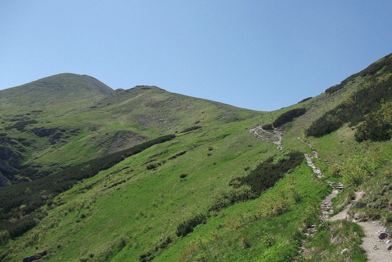 mountains  green  nature free photo