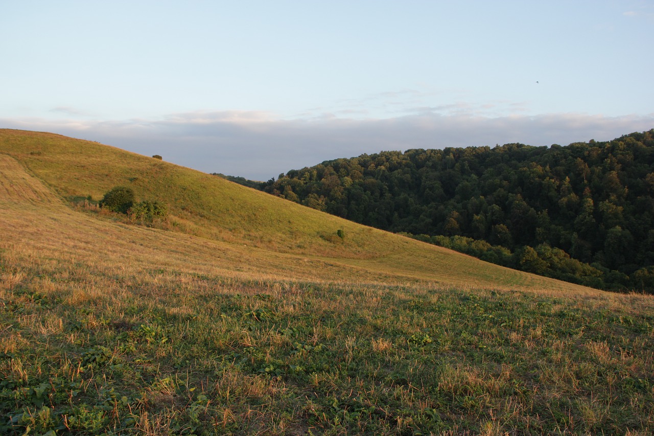 mountains  meadow  grass free photo