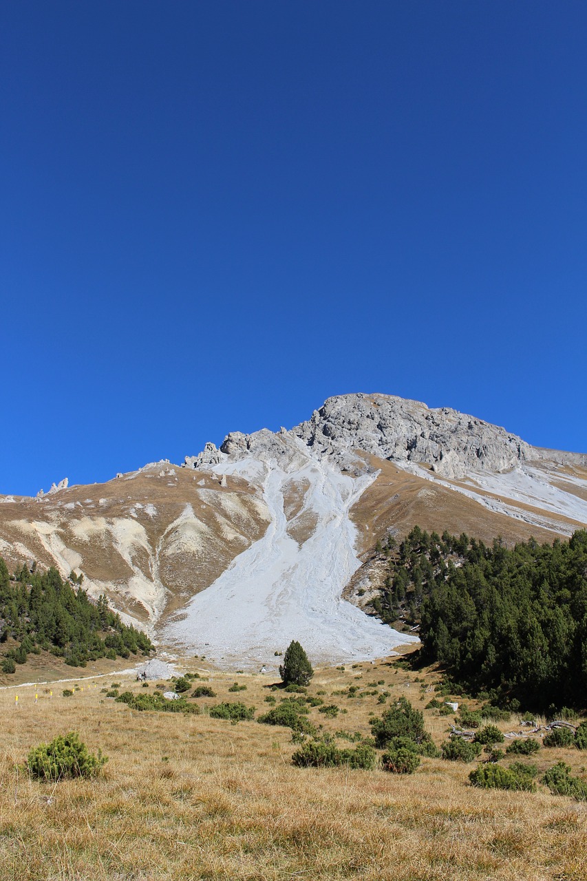 mountains  switzerland  path free photo