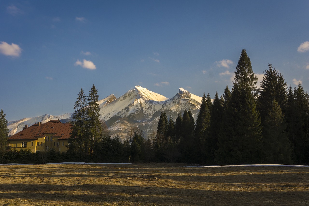 mountains  landscape  sky free photo