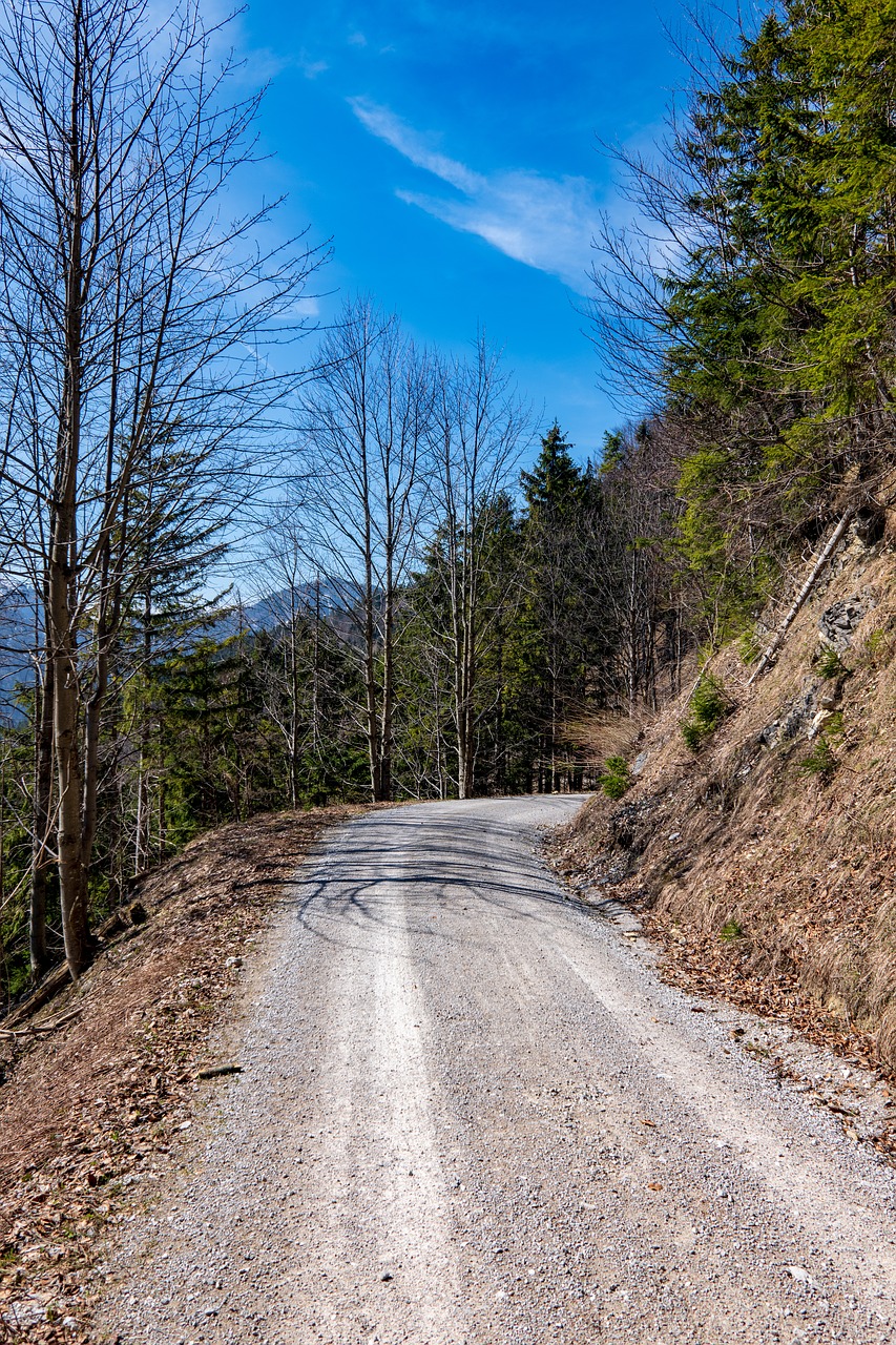 mountains  alpine  sky free photo