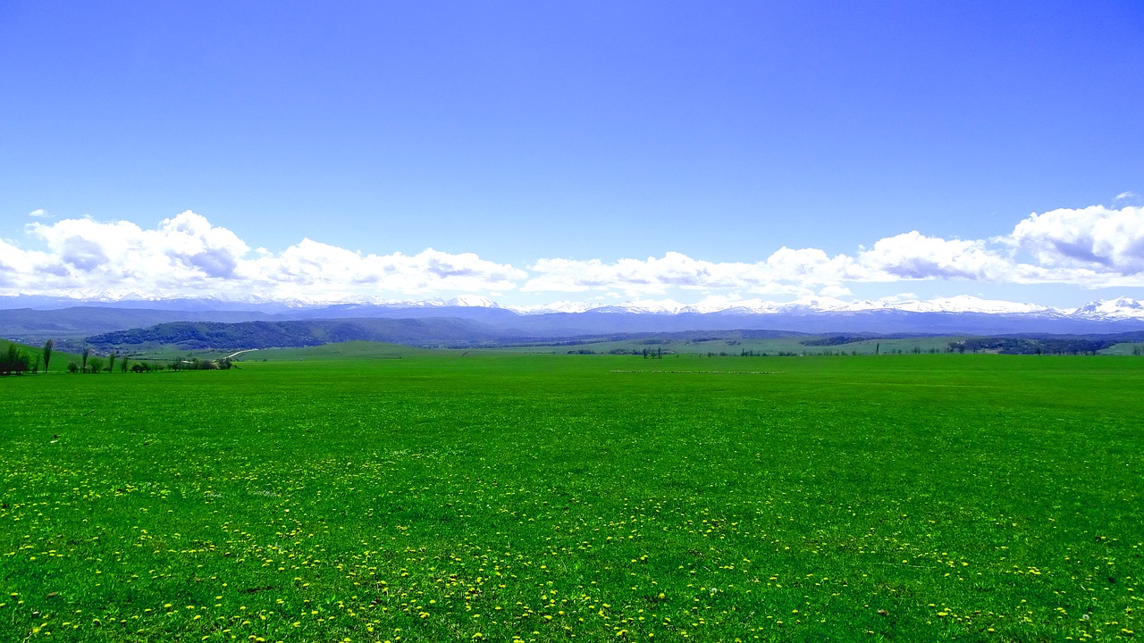 mountains  arkhyz  meadow free photo