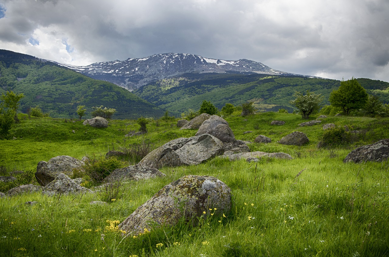 mountains  snow  spring free photo