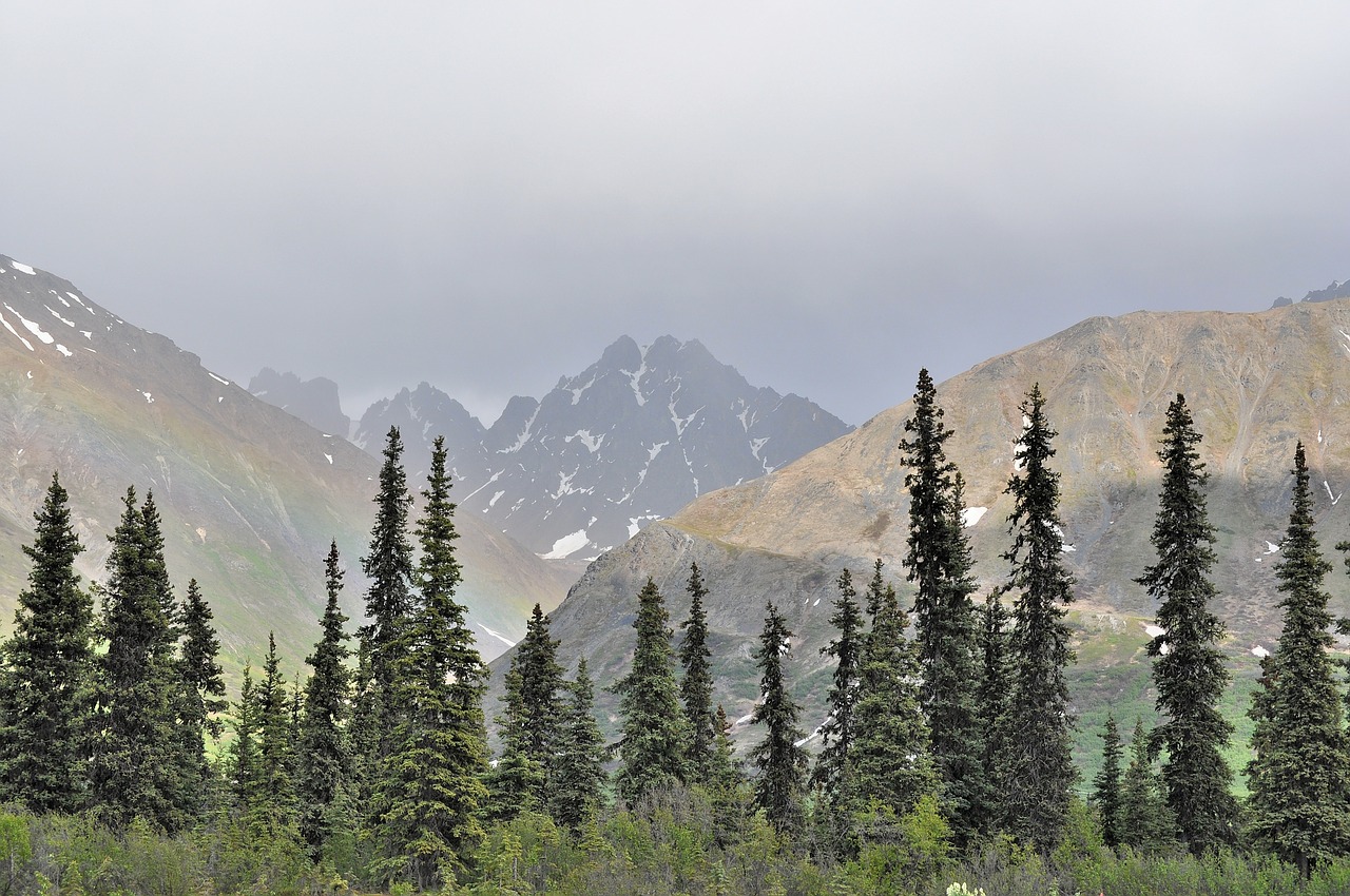 mountains alaska denali free photo