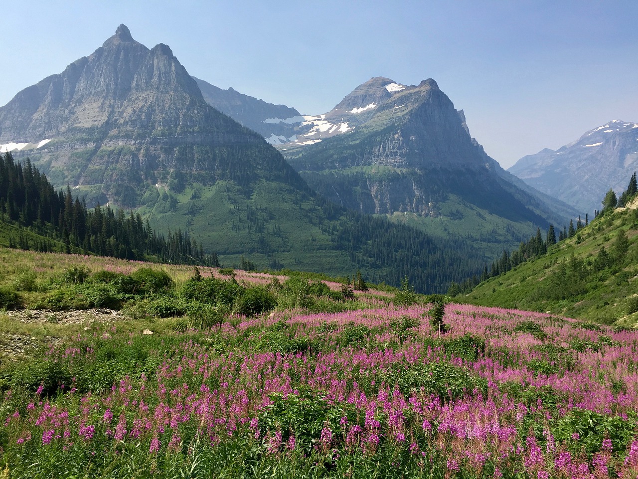 mountains  meadow  glacier national park free photo