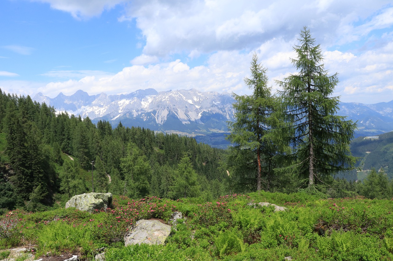 mountains  mountain landscape  mountain view free photo