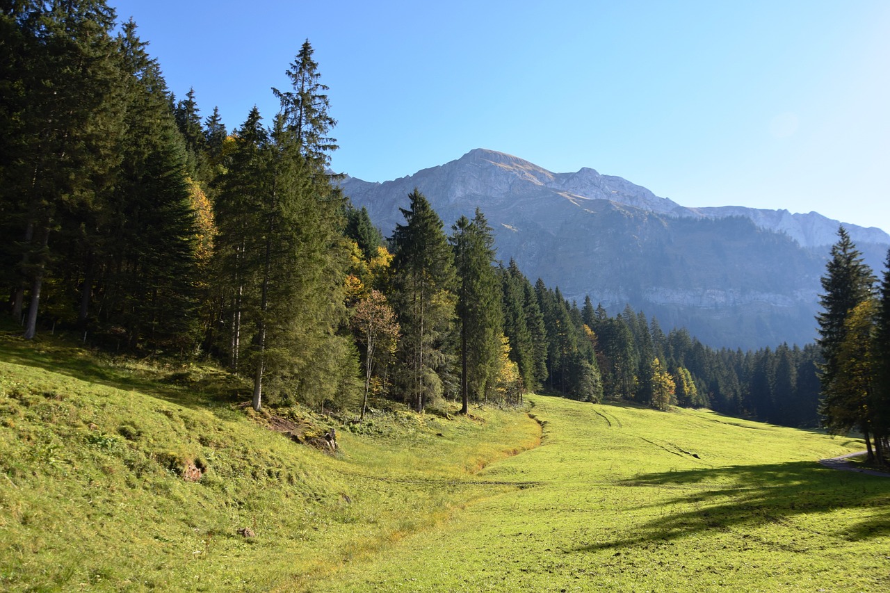 mountains alpine alm free photo