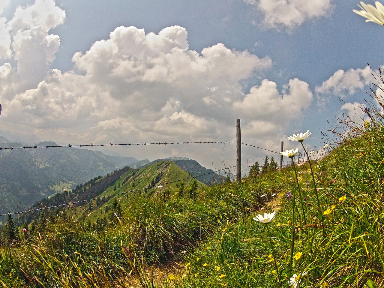 mountains alpine meadow free photo