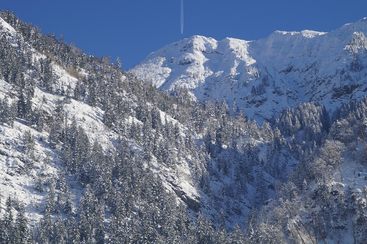 mountains alpine winter free photo