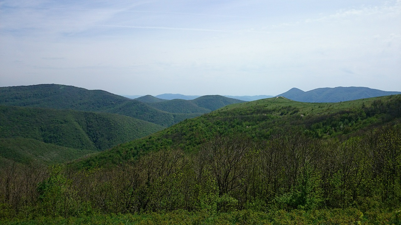 mountains summer greens free photo