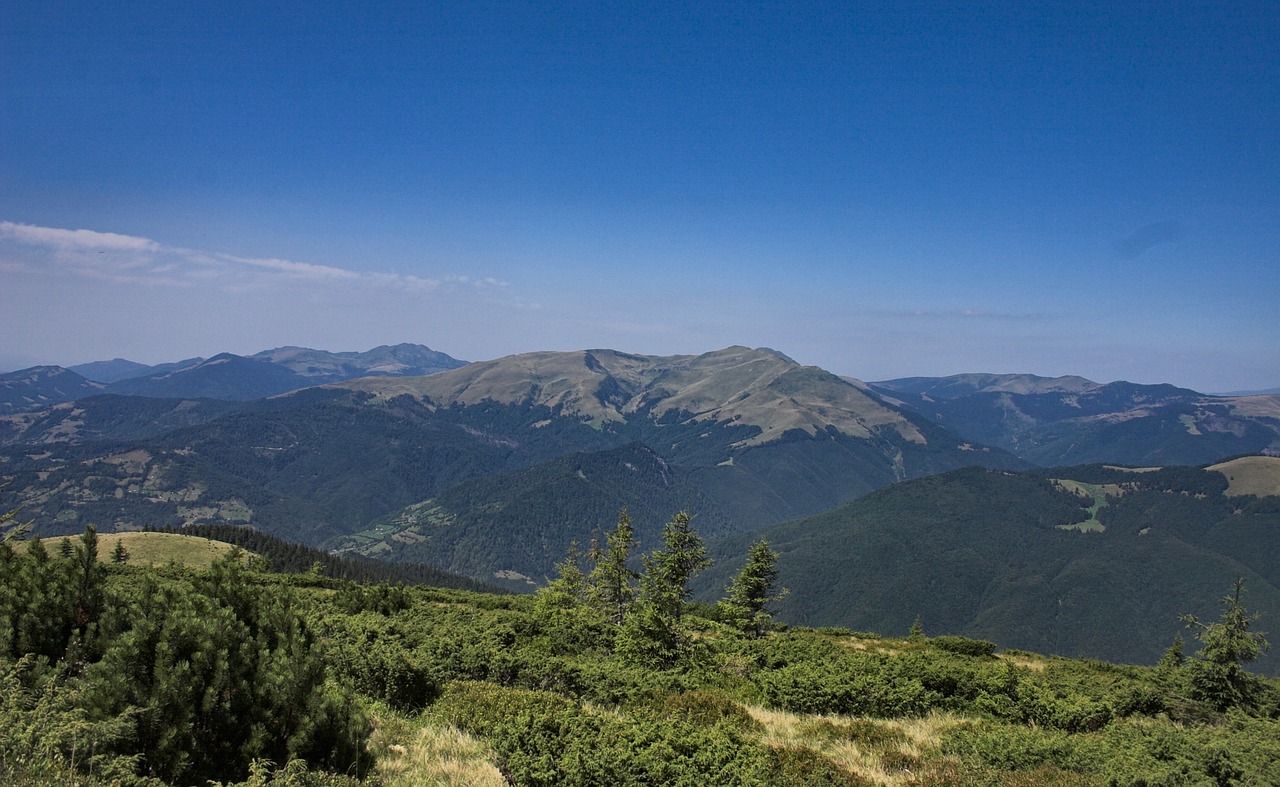 mountains forest foliage free photo