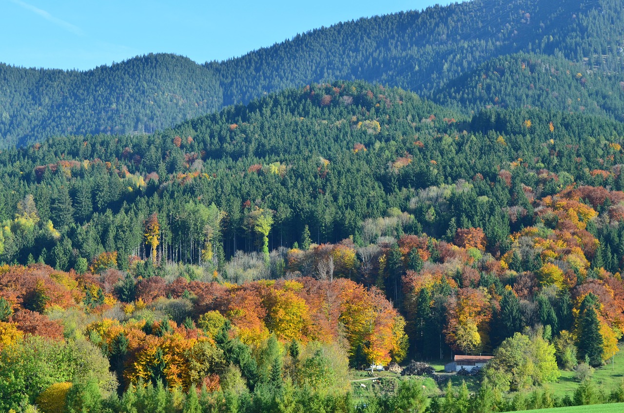 mountains autumn landscape free photo