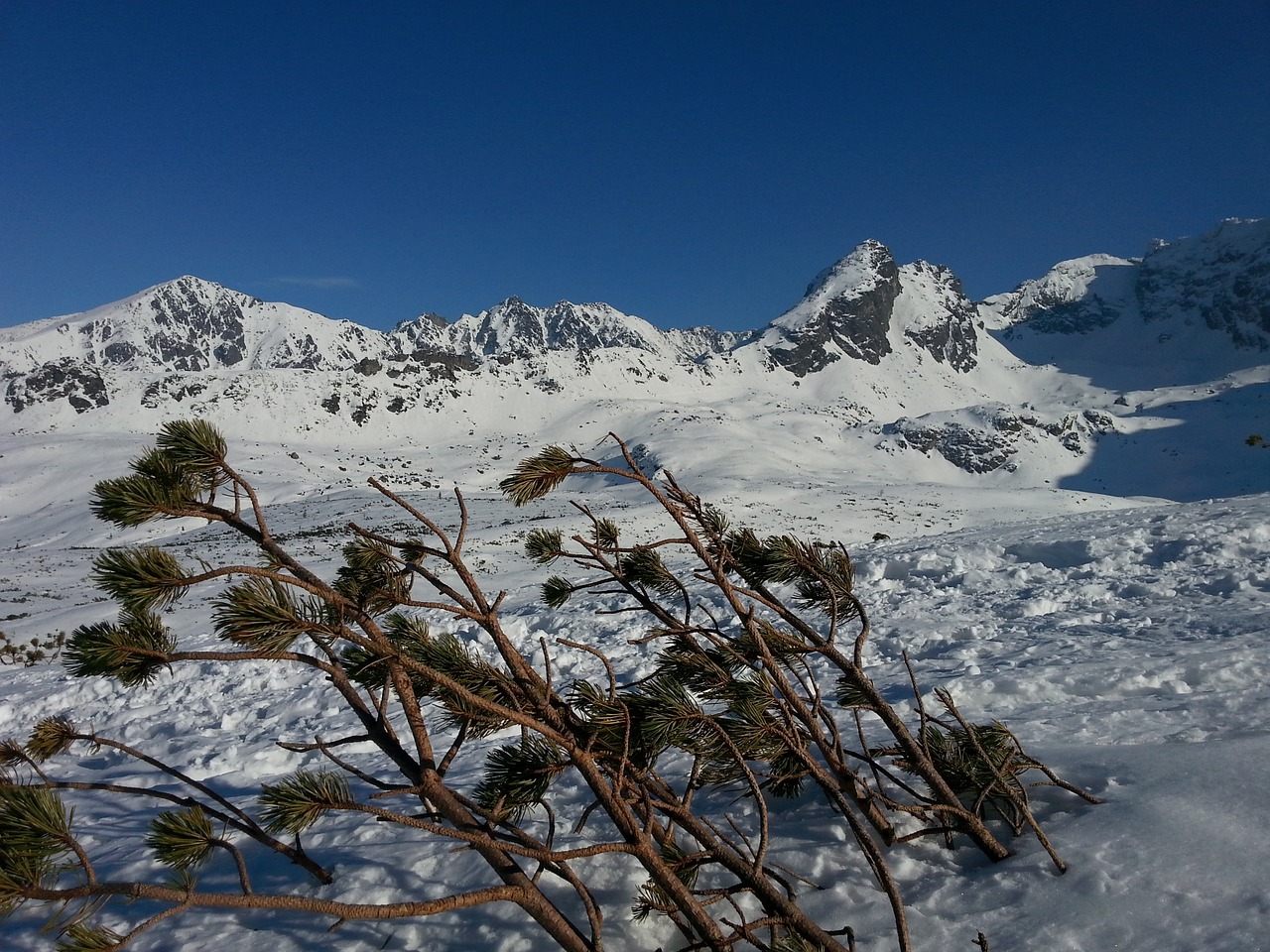 mountains tatry winter free photo