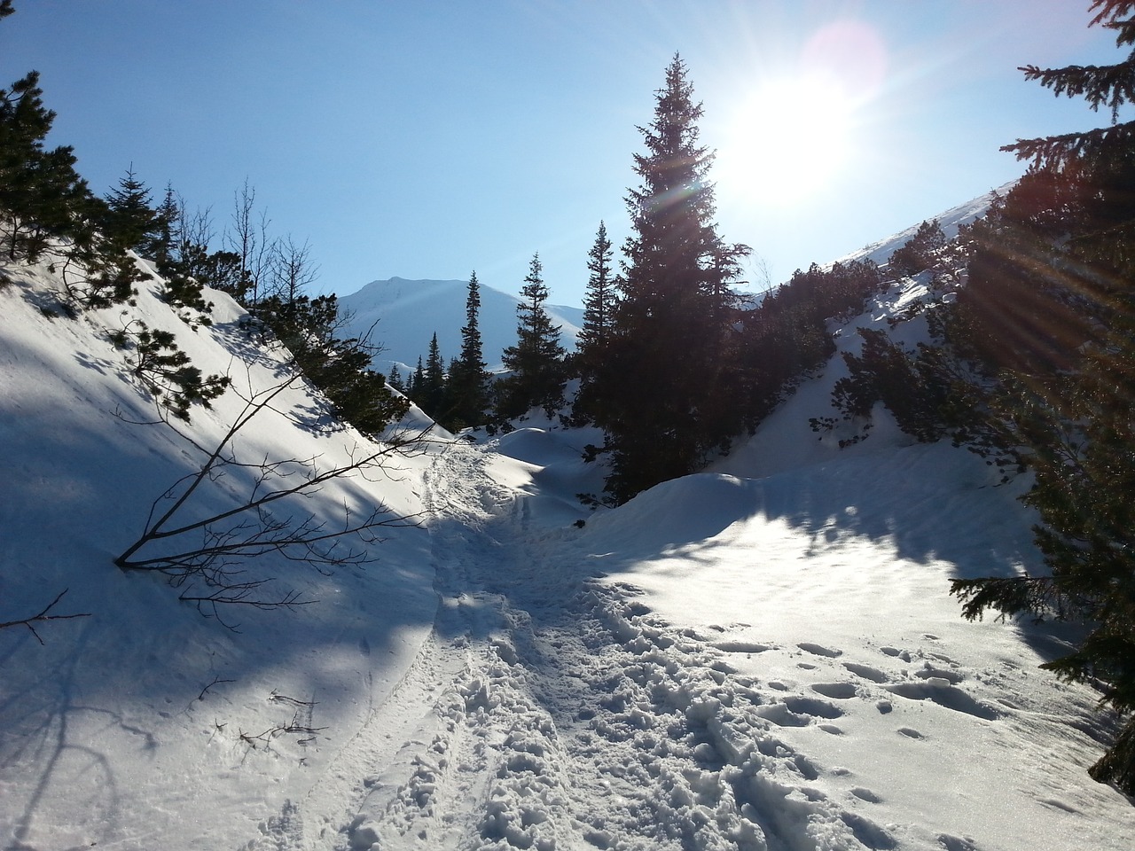 mountains tatry winter free photo