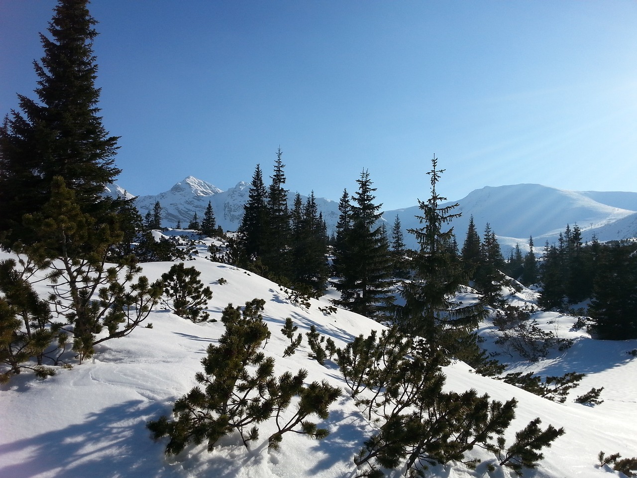 mountains tatry view free photo