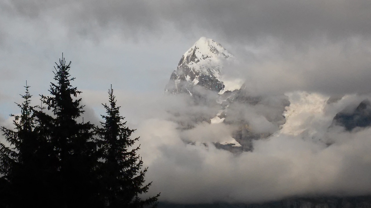 mountains alps junfrau free photo