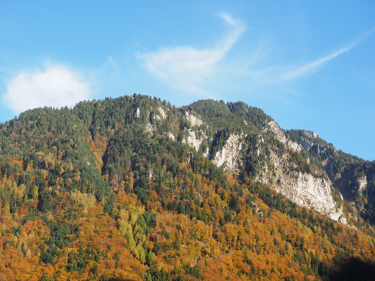 mountains autumn fall color free photo