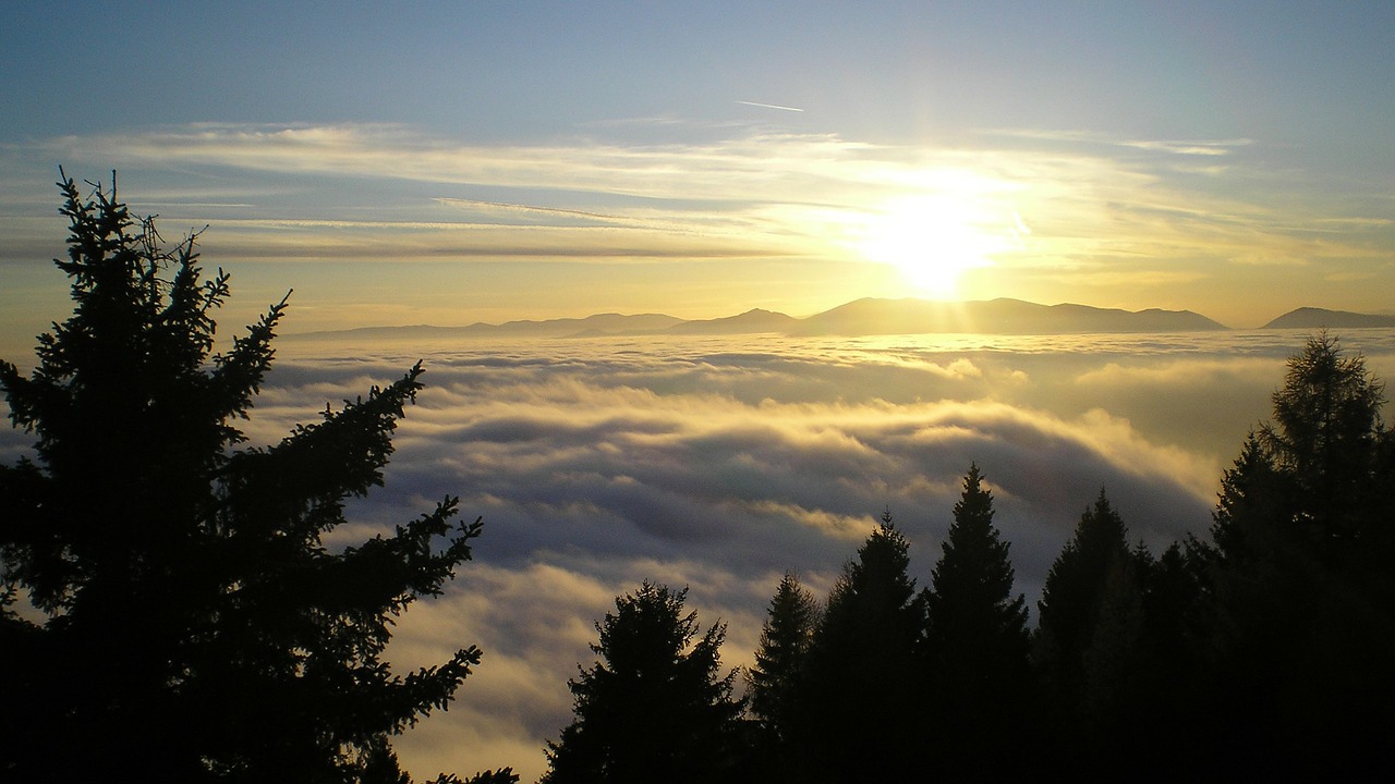 mountains sunrise tree free photo