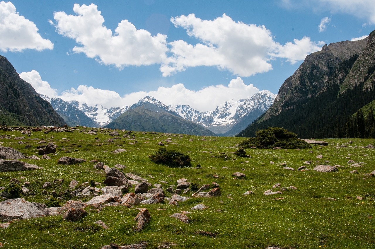 mountains peak greens free photo