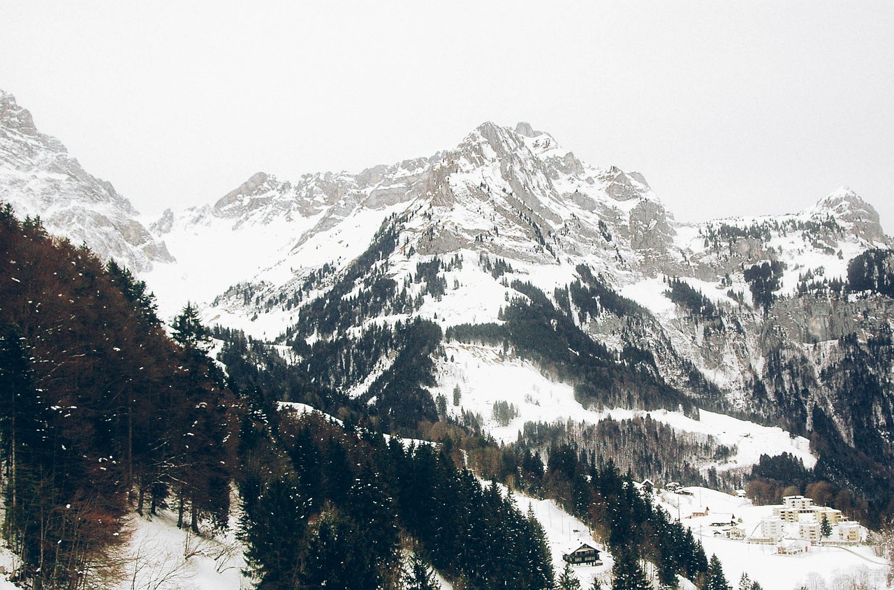 mountains winter trees free photo