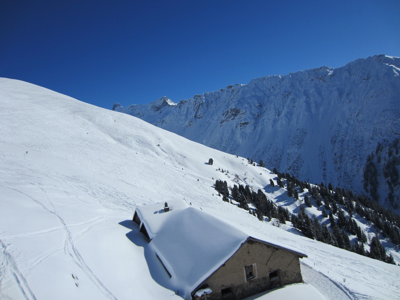 mountains snow winter free photo