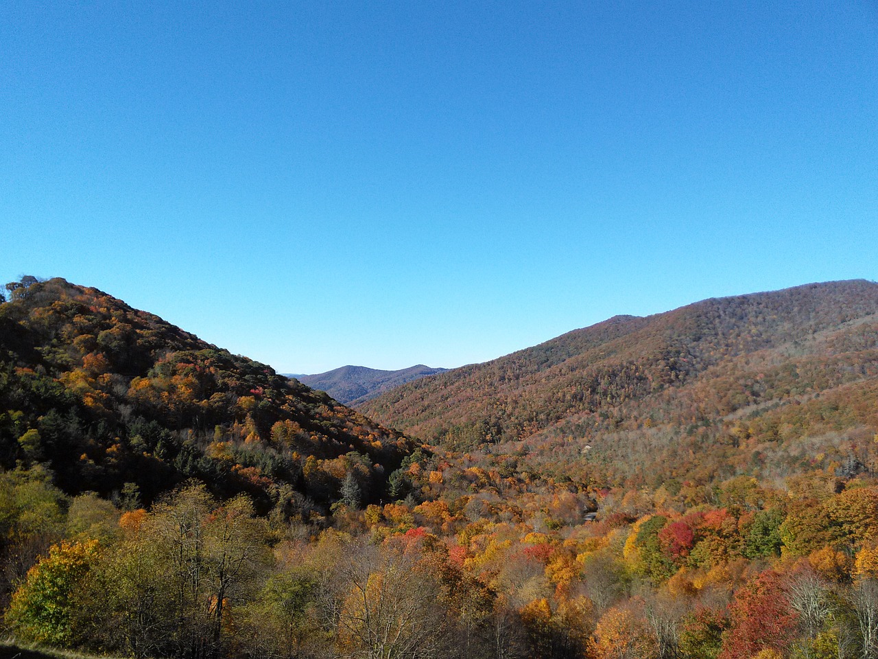 mountains trees autumn free photo