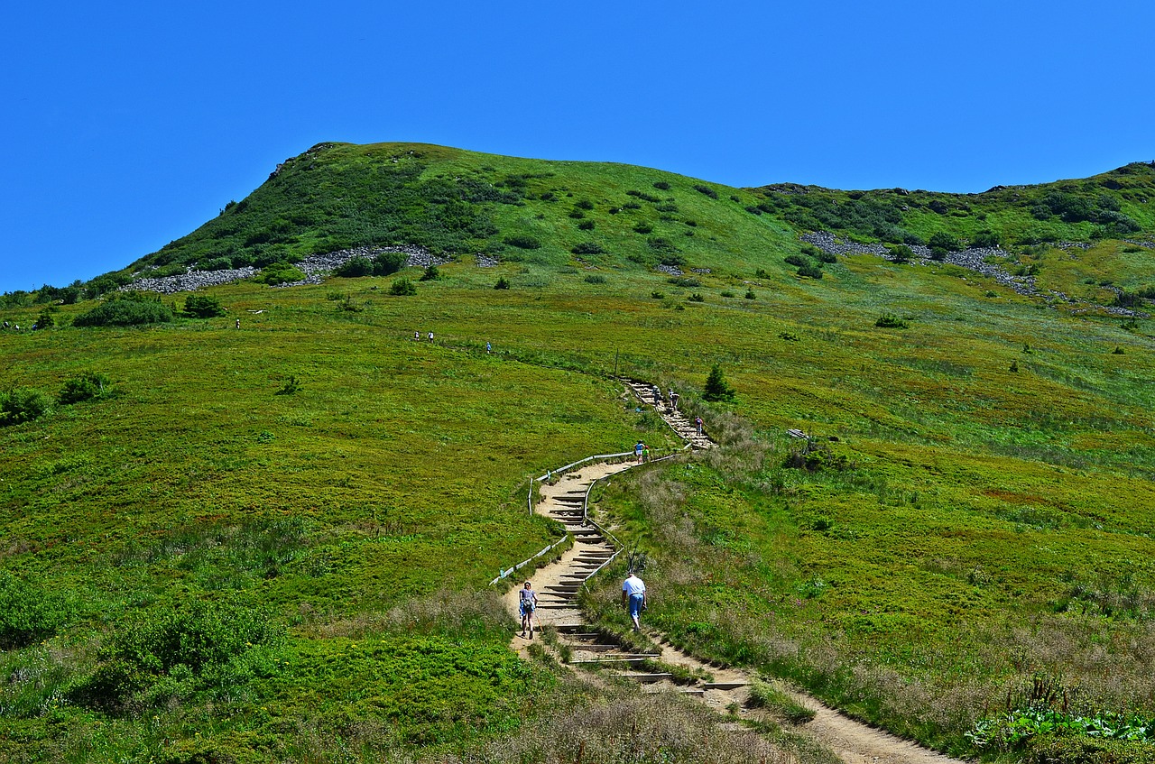 mountains landscape view free photo