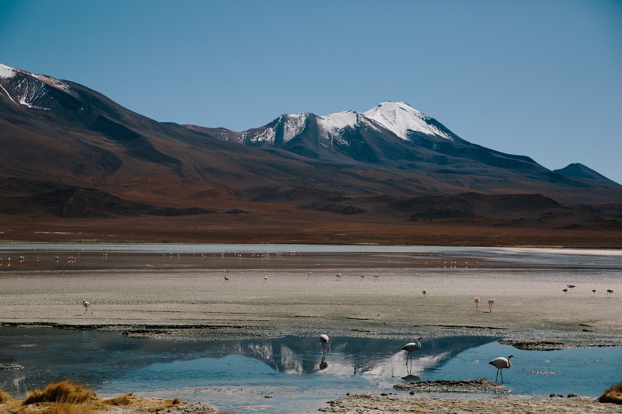 mountains tundra lake free photo