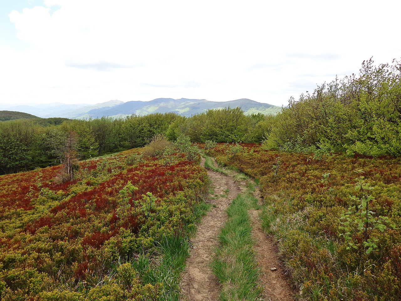 mountains landscape trail free photo