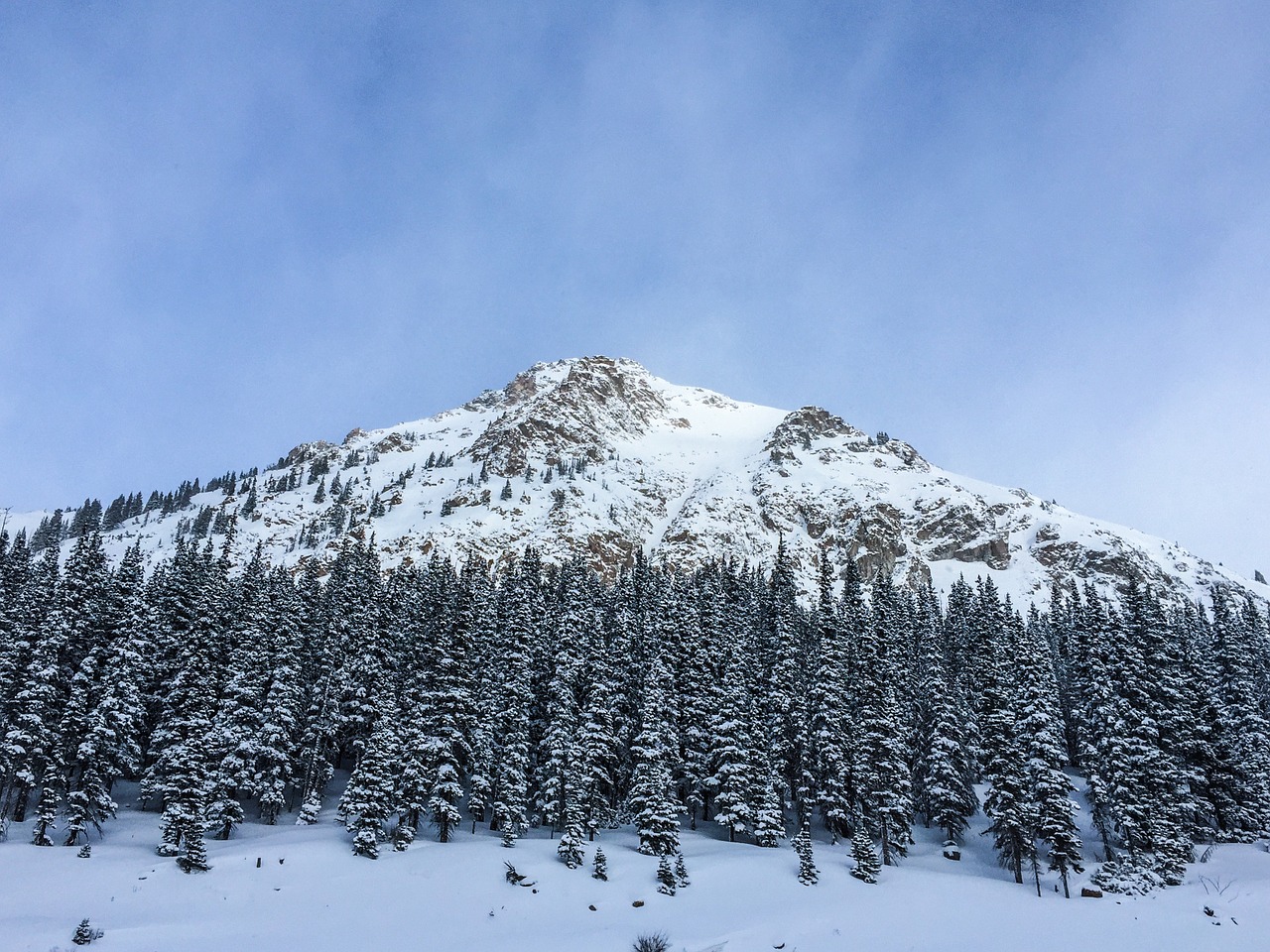 mountains trees forest free photo