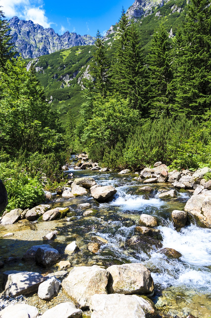 mountains rock water free photo