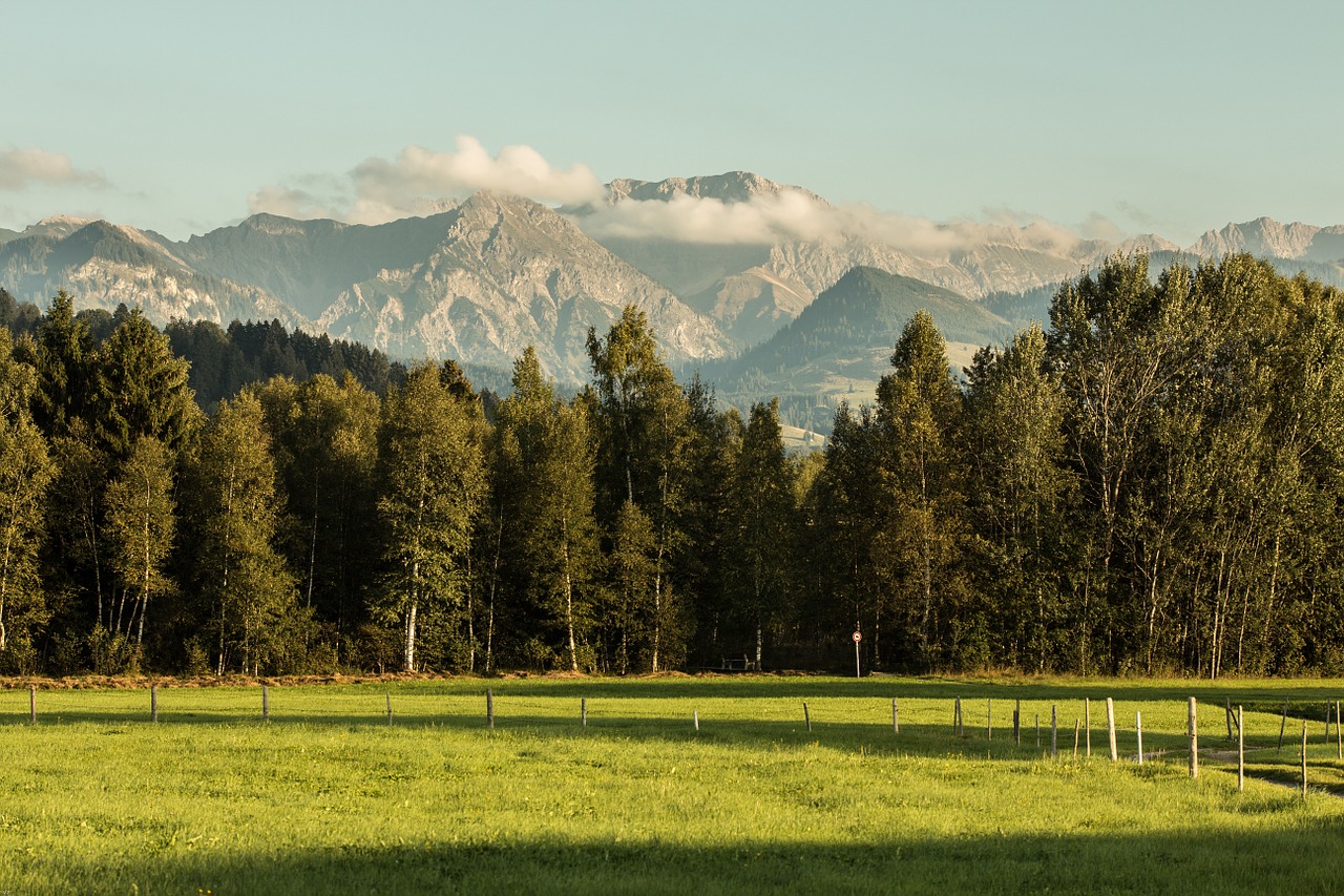 mountains forest meadow free photo