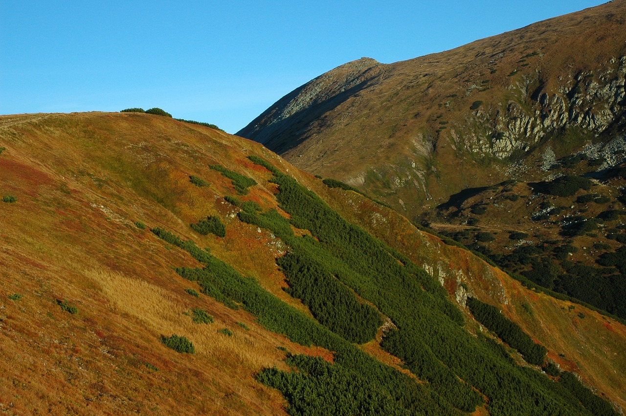 mountains hills slovakia free photo