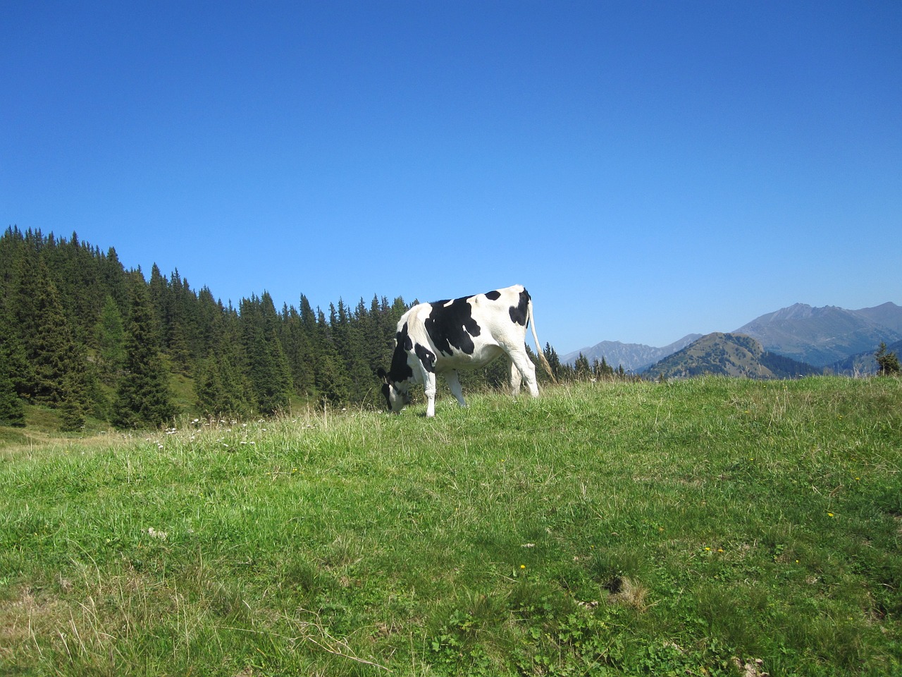 mountains dolomites italy free photo