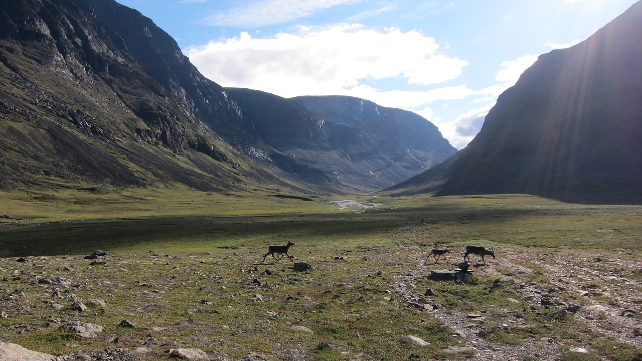 mountains lapland sweden free photo