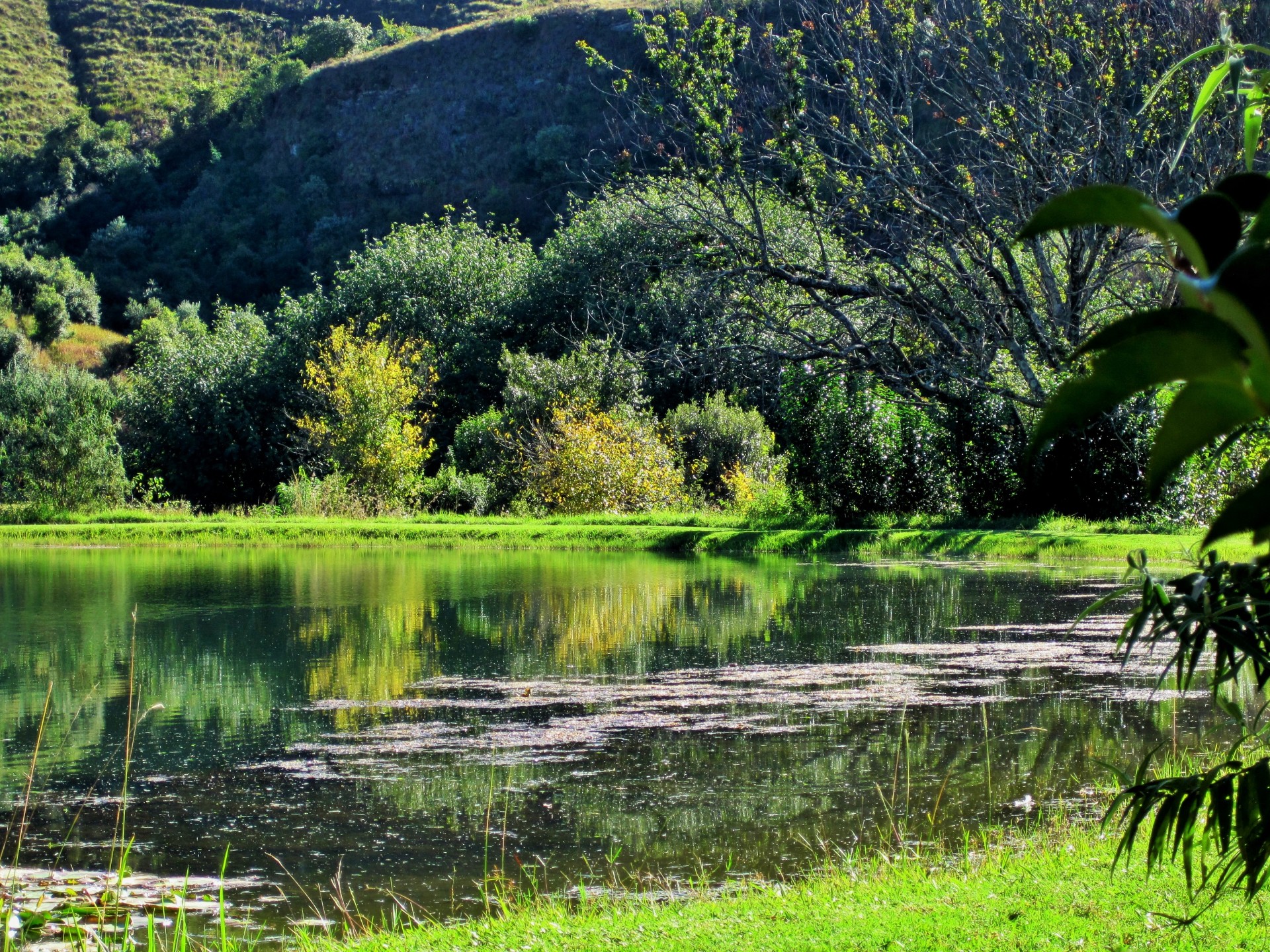 drakensberg pond water free photo