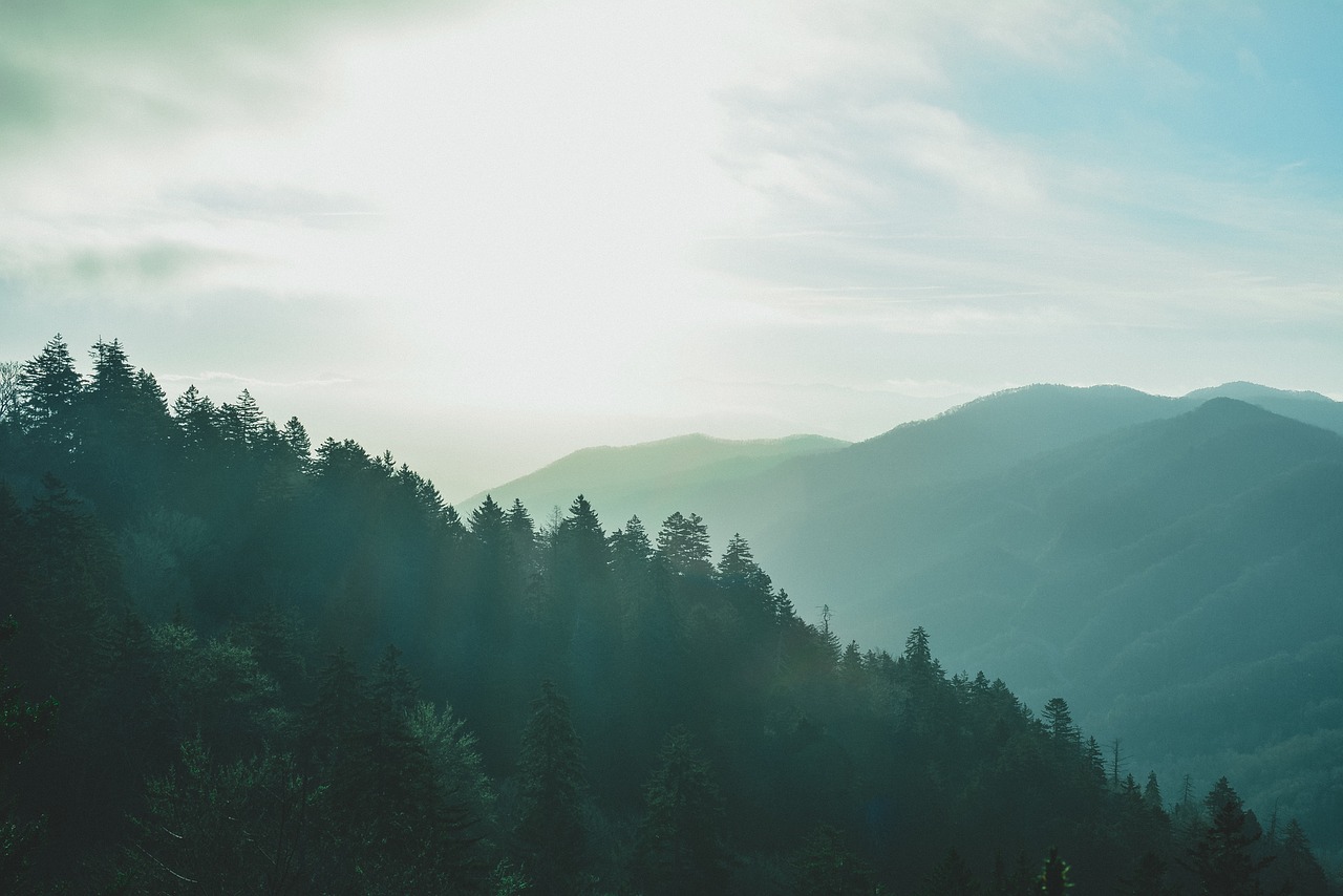 mountains landscape foggy free photo