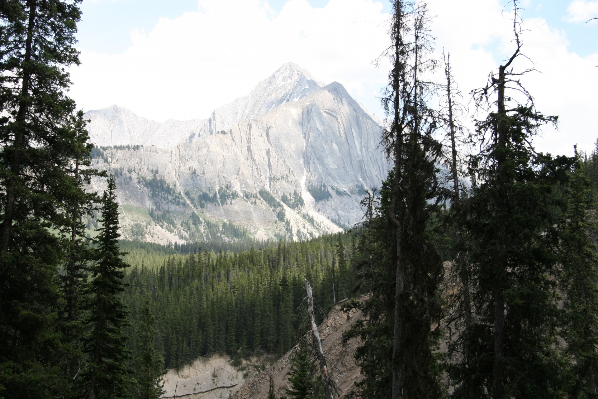 mountains trees mountains trees free photo