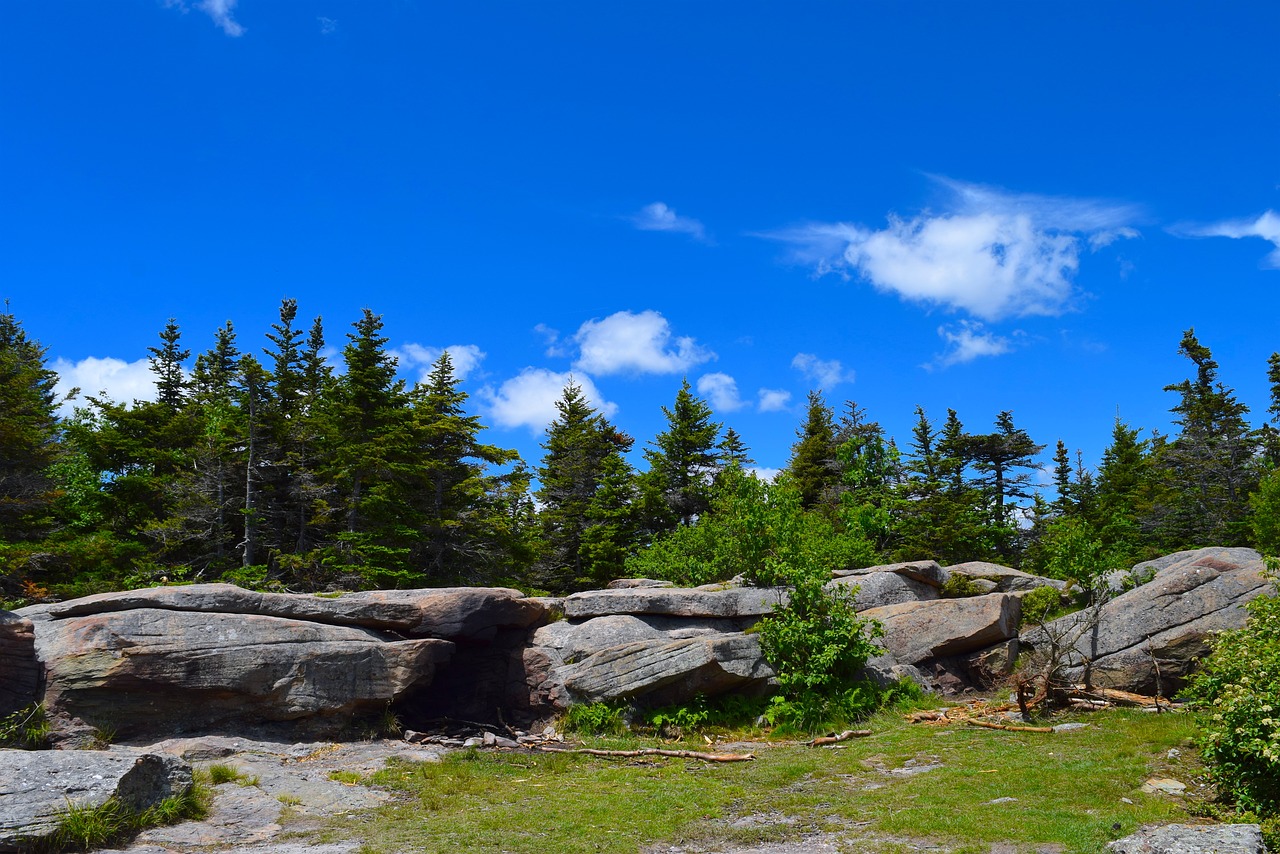 mountainside clouds trees free photo