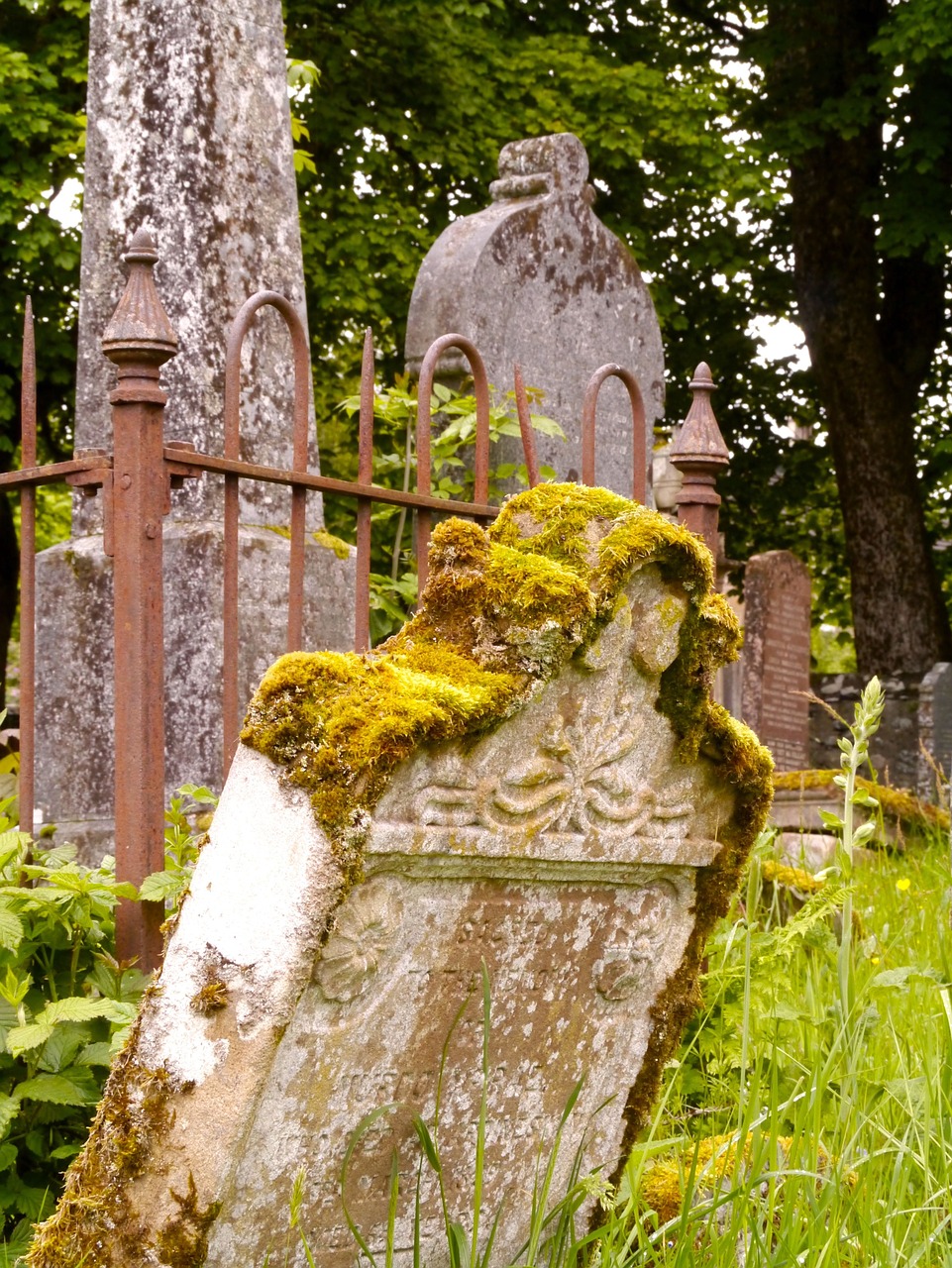 mourning cemetery death free photo