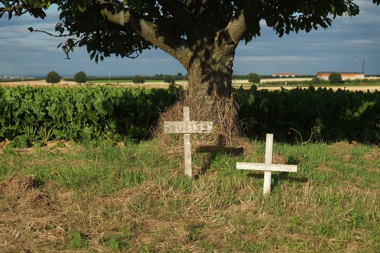 mourning death cross free photo