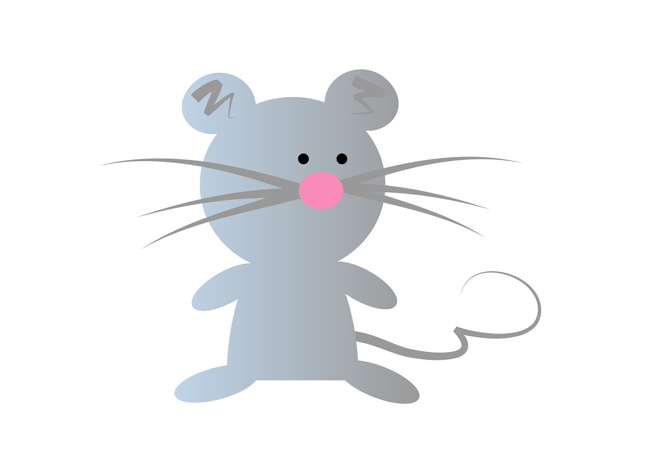 mouse animal rodent free photo