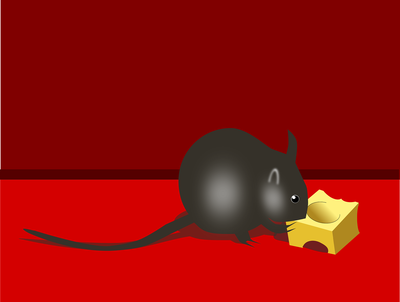 mouse cheese rodent free photo