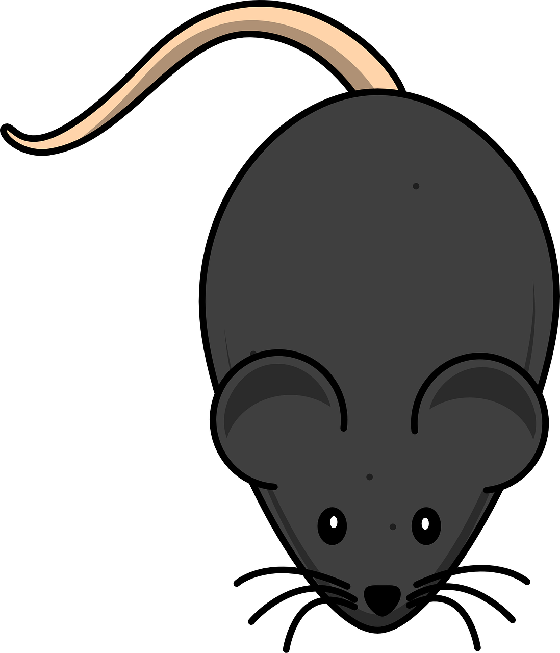 mouse rodent black free photo