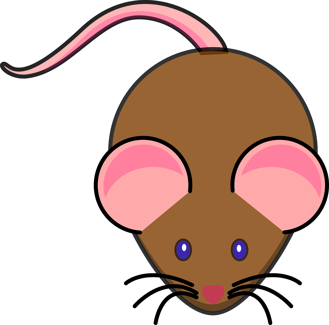 mouse brown pink free photo