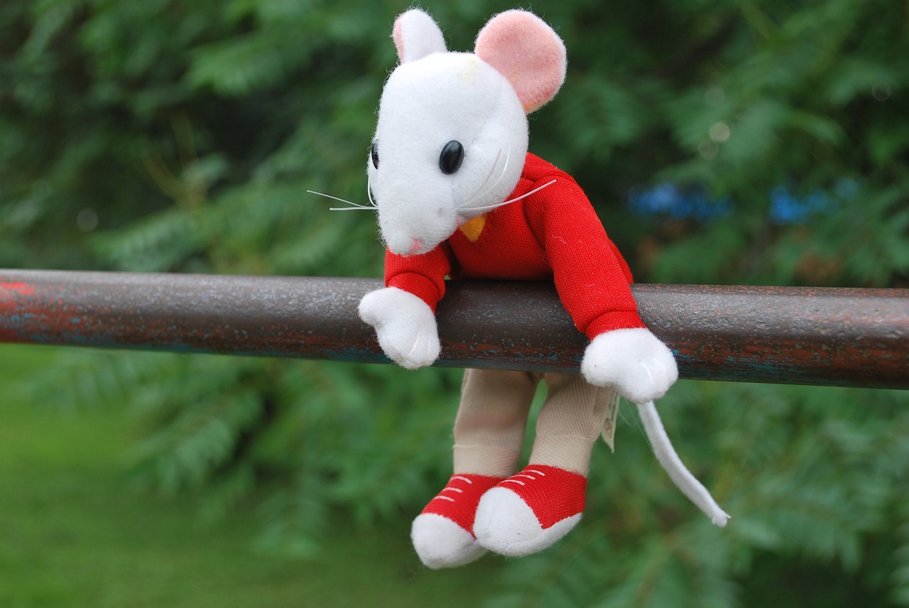 mouse toy hanging free photo