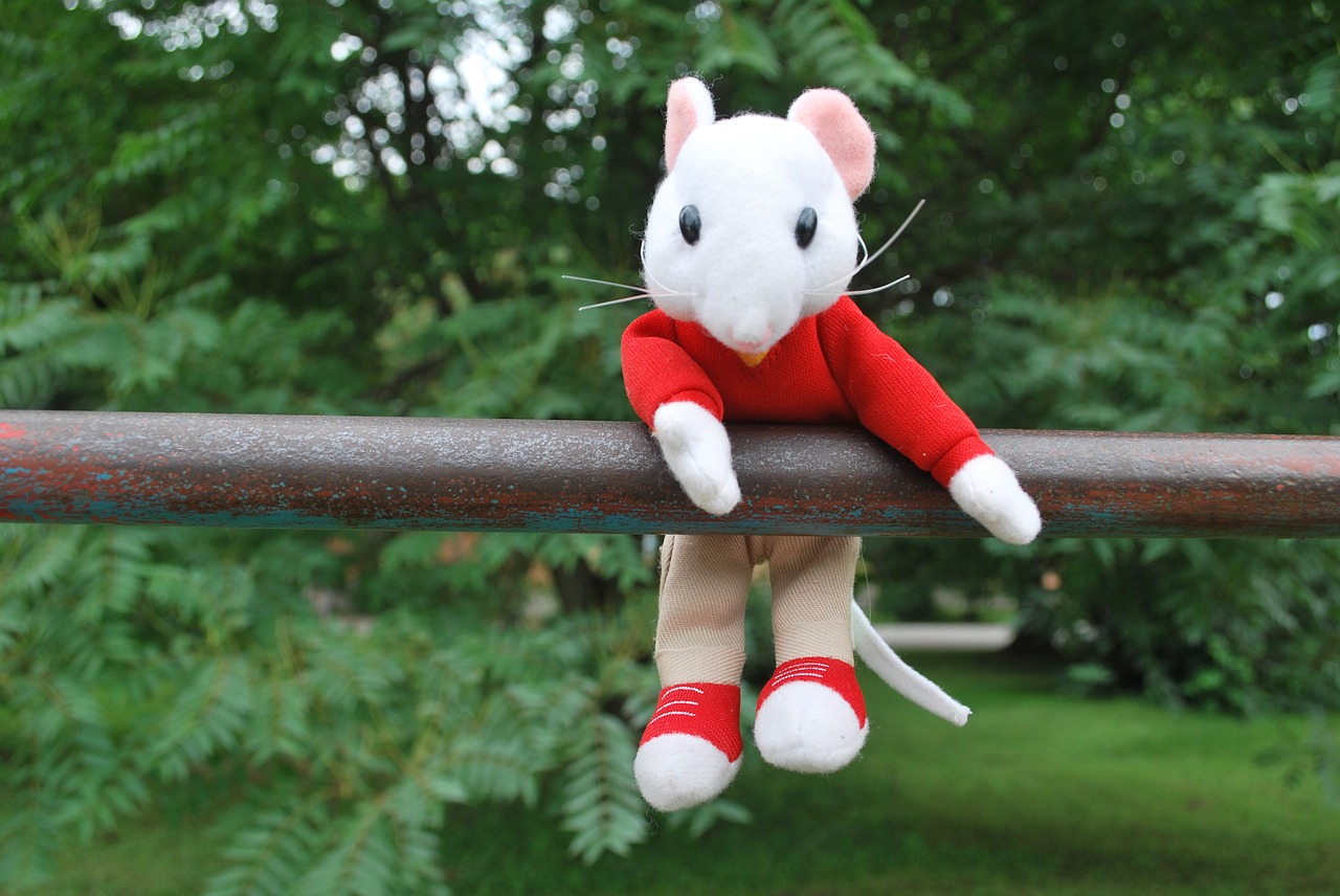 mouse toy hanging free photo
