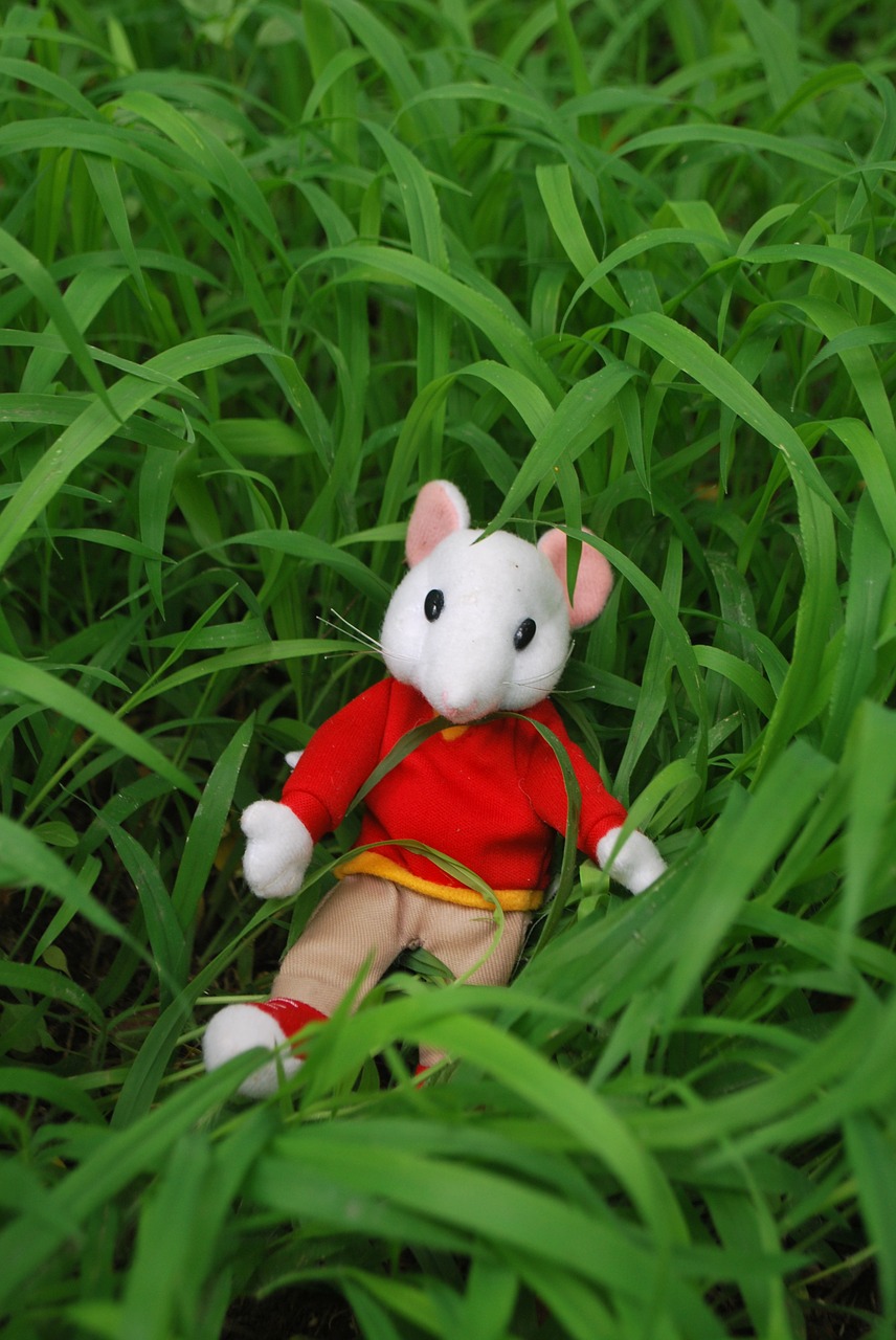 mouse toy grass free photo