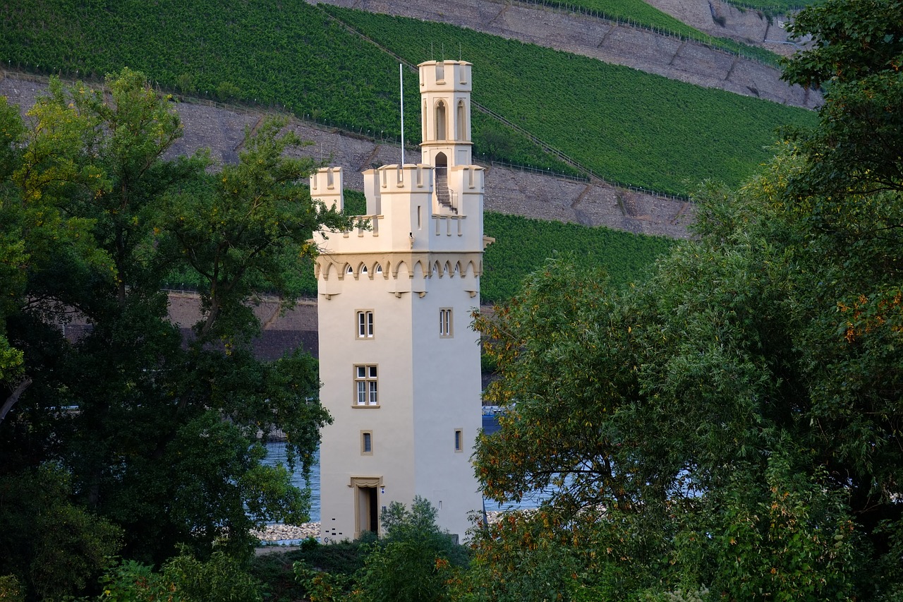 mouse tower bingen tower free photo